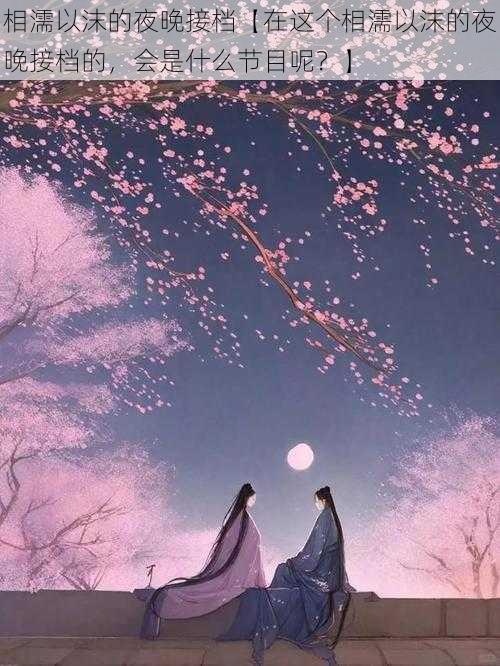相濡以沫的夜晚接档【在这个相濡以沫的夜晚接档的,会是什么节目呢?】
