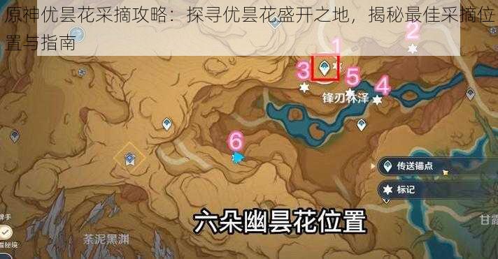 原神优昙花采摘攻略:探寻优昙花盛开之地,揭秘最佳采摘位置与指南