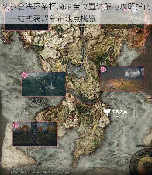 艾尔登法环圣杯滴露全位置详解与攻略指南:一站式获取分布地点概览