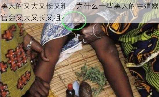 黑人的又大又长又粗、为什么一些黑人的生殖器官会又大又长又粗?
