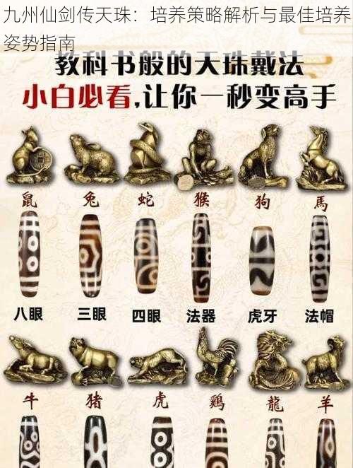 九州仙剑传天珠:培养策略解析与最佳培养姿势指南