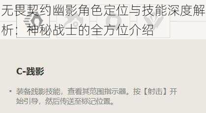 无畏契约幽影角色定位与技能深度解析:神秘战士的全方位介绍