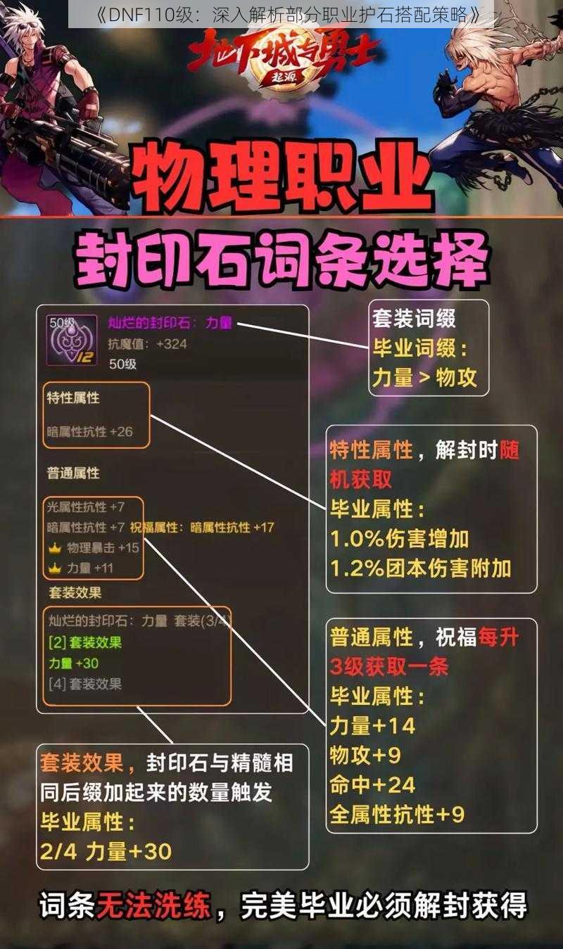 《DNF110级:深入解析部分职业护石搭配策略》