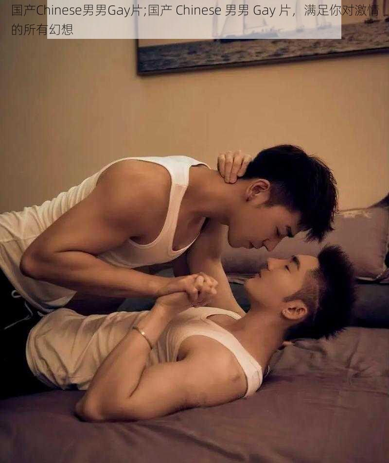 国产Chinese男男Gay片;国产 Chinese 男男 Gay 片，满足你对激情的所有幻想