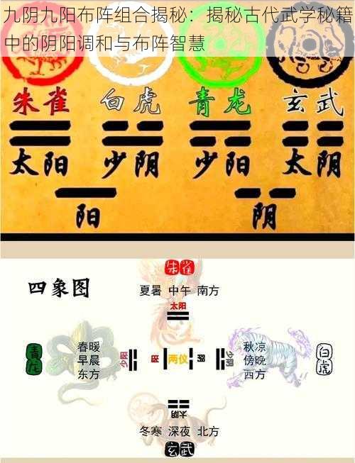 九阴九阳布阵组合揭秘：揭秘古代武学秘籍中的阴阳调和与布阵智慧