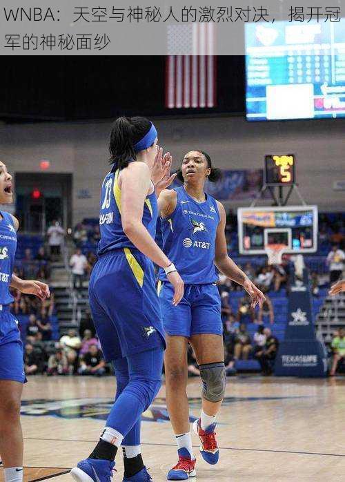 WNBA：天空与神秘人的激烈对决，揭开冠军的神秘面纱