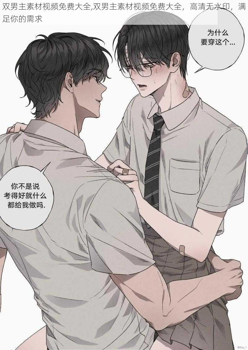 双男主素材视频免费大全,双男主素材视频免费大全,高清无水印,满足你的需求