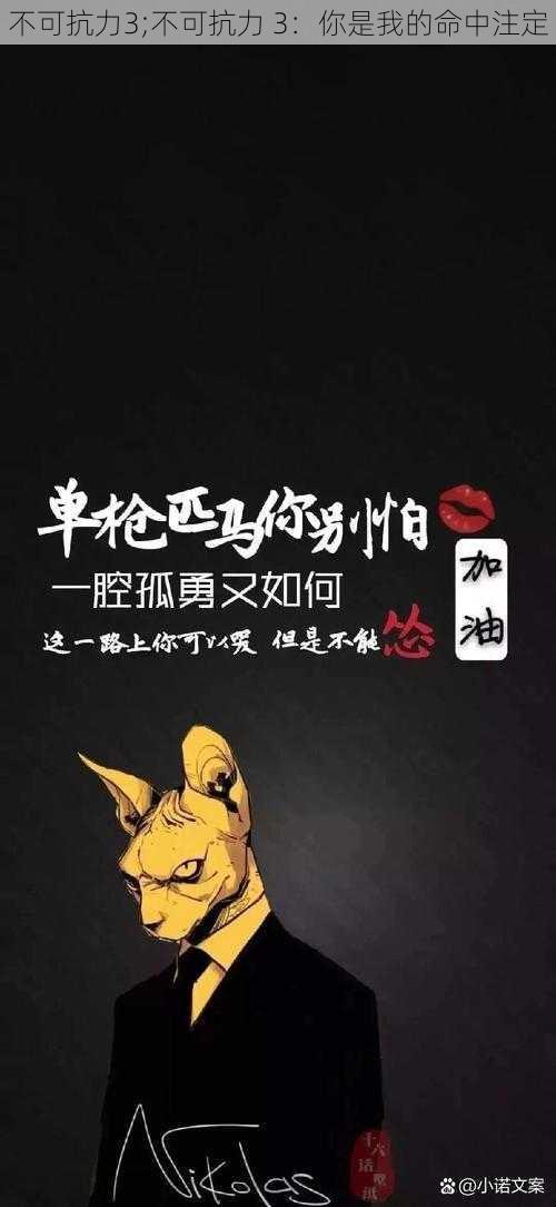 不可抗力3;不可抗力 3：你是我的命中注定