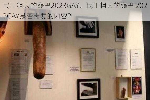 民工粗大的鷄巴2023GAY、民工粗大的鷄巴 2023GAY是否需要的内容?
