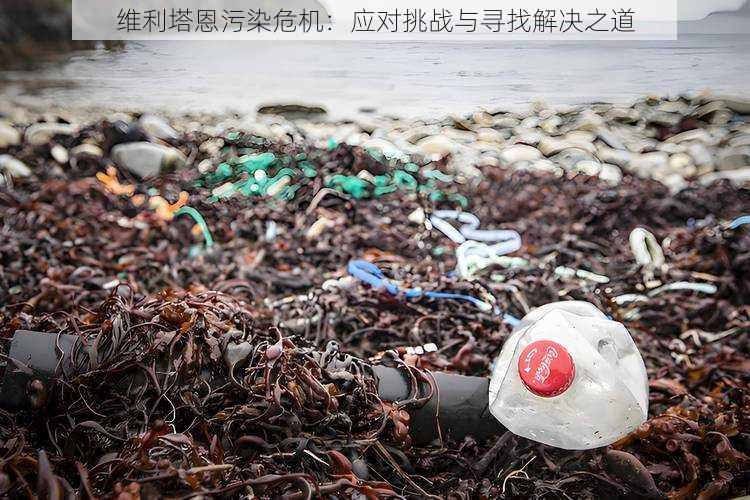 维利塔恩污染危机:应对挑战与寻找解决之道
