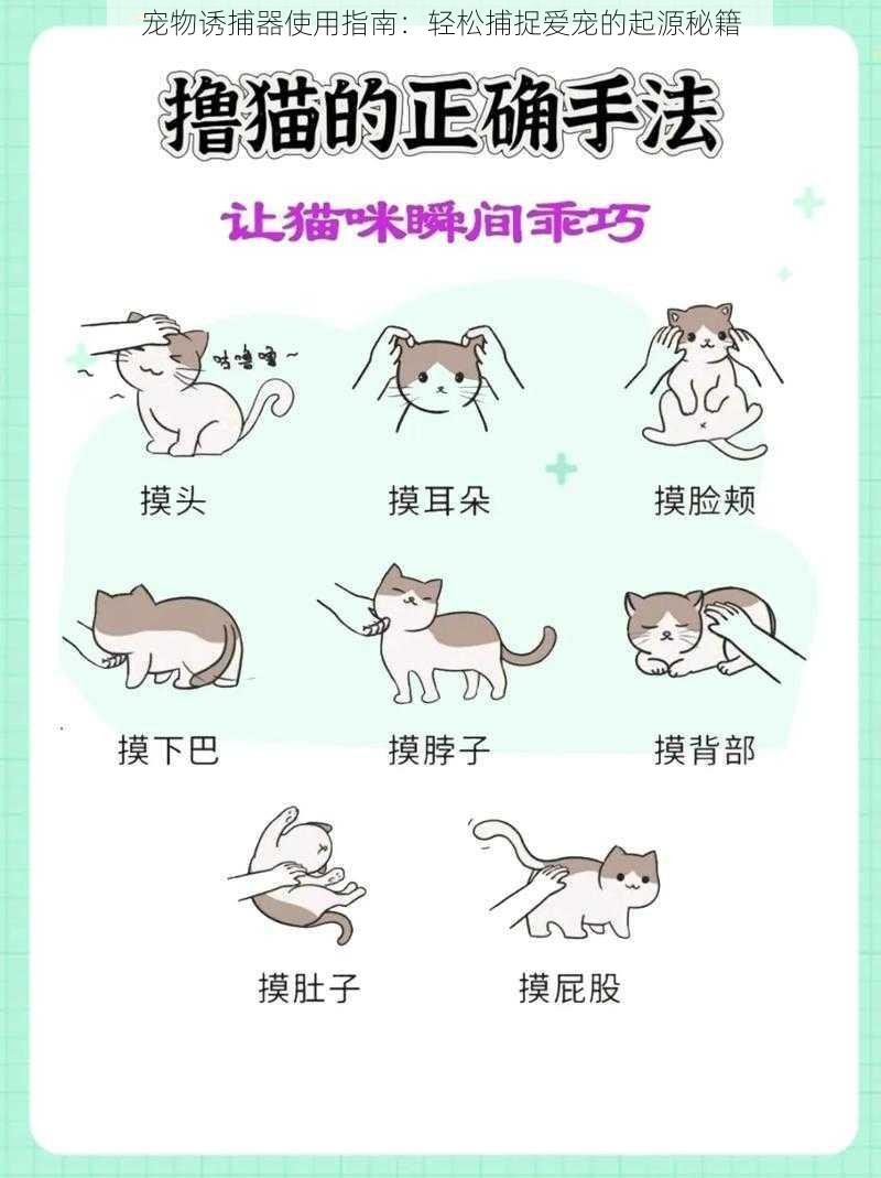 宠物诱捕器使用指南:轻松捕捉爱宠的起源秘籍