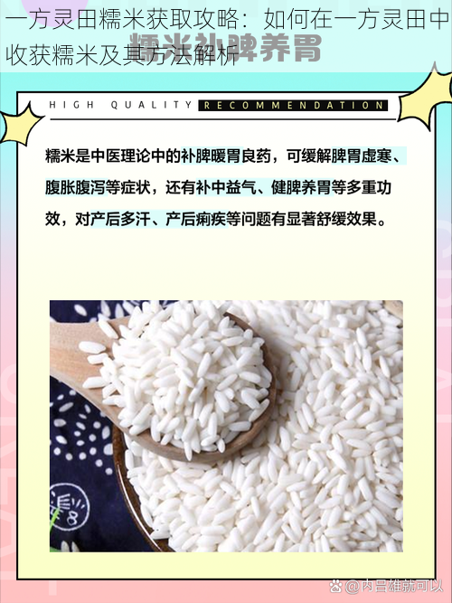一方灵田糯米获取攻略:如何在一方灵田中收获糯米及其方法解析