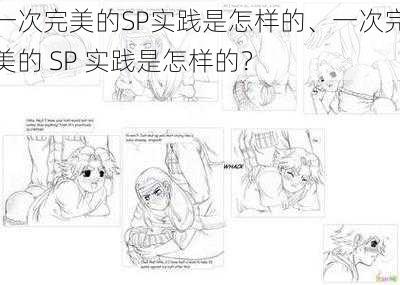 一次完美的SP实践是怎样的、一次完美的 SP 实践是怎样的?
