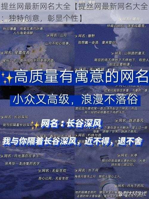 提丝网最新网名大全【提丝网最新网名大全:独特创意,彰显个性】