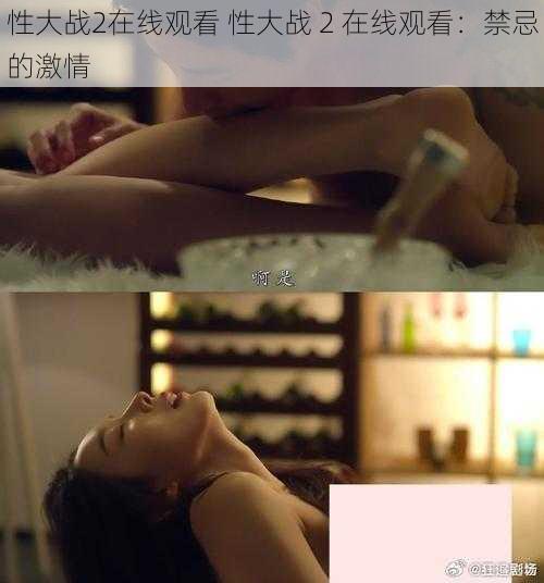 性大战2在线观看 性大战 2 在线观看:禁忌的激情