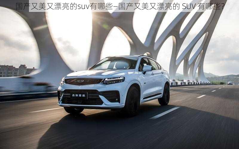 国产又美又漂亮的suv有哪些—国产又美又漂亮的 SUV 有哪些？