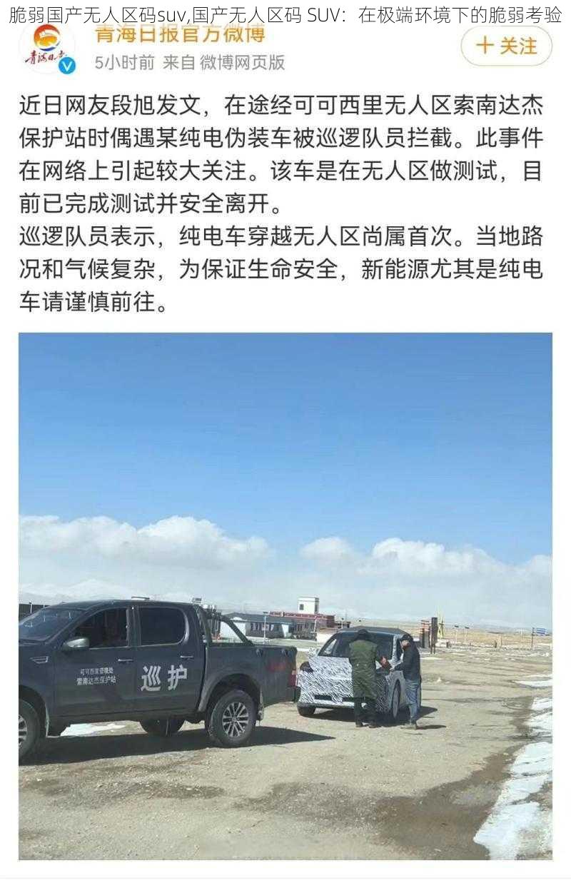 脆弱国产无人区码suv,国产无人区码 SUV：在极端环境下的脆弱考验