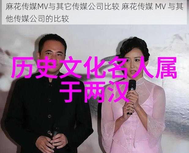 麻花传媒MV与其它传媒公司比较 麻花传媒 MV 与其他传媒公司的比较