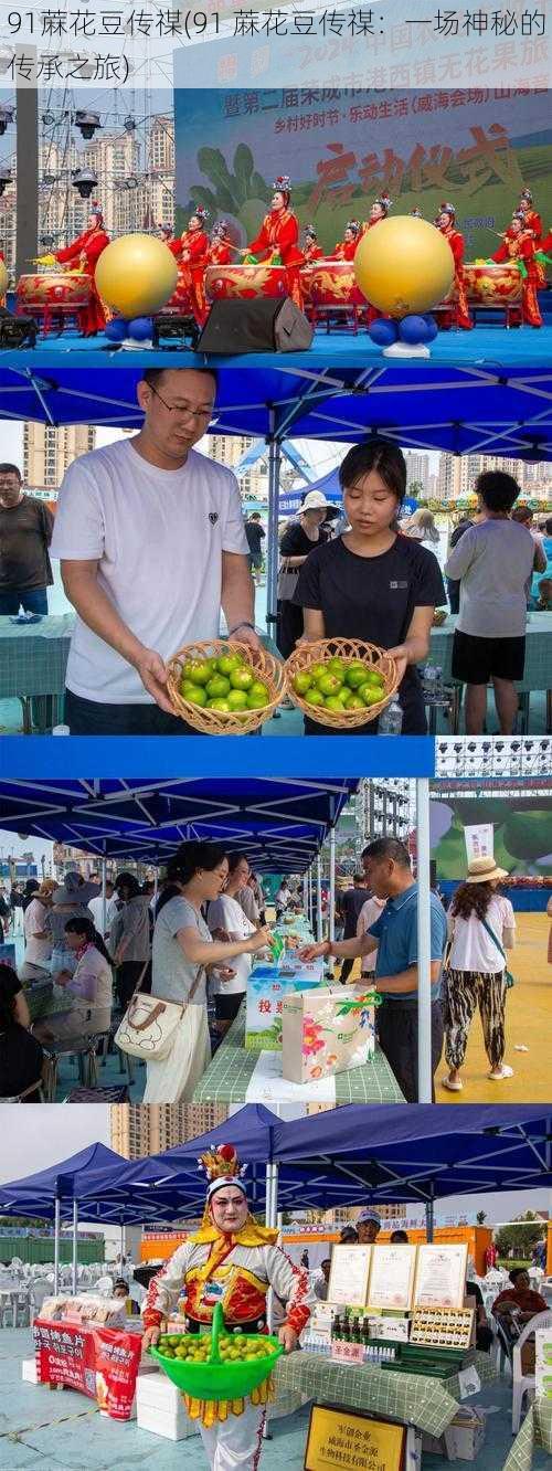 91蔴花豆传禖(91 蔴花豆传禖：一场神秘的传承之旅)