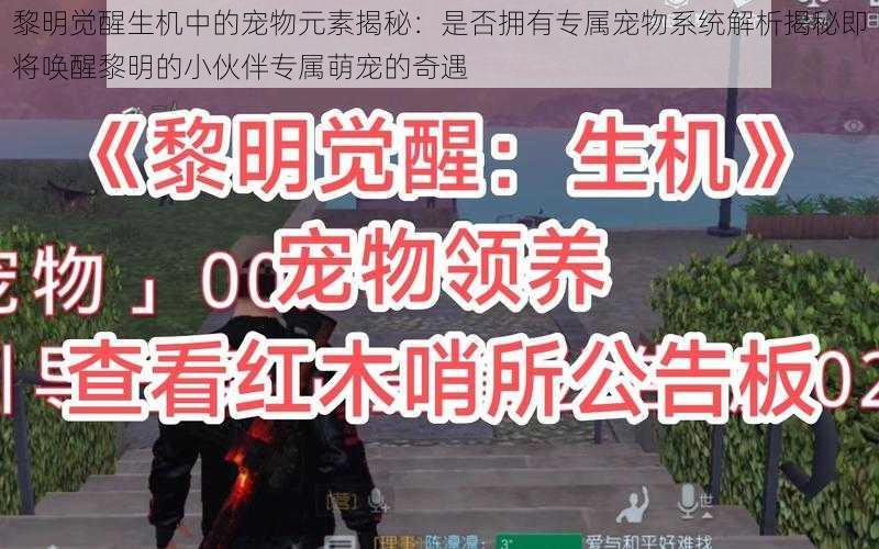 黎明觉醒生机中的宠物元素揭秘：是否拥有专属宠物系统解析揭秘即将唤醒黎明的小伙伴专属萌宠的奇遇