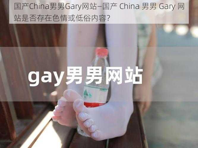 国产China男男Gary网站—国产 China 男男 Gary 网站是否存在色情或低俗内容？