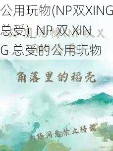 公用玩物(NP双XING总受)_NP 双 XING 总受的公用玩物