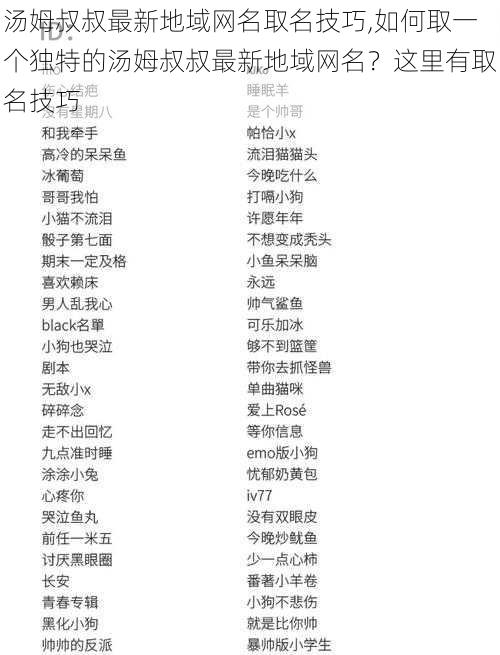 汤姆叔叔最新地域网名取名技巧,如何取一个独特的汤姆叔叔最新地域网名？这里有取名技巧