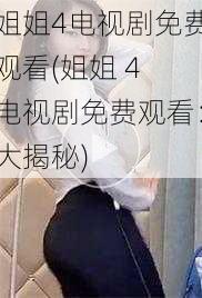 姐姐4电视剧免费观看(姐姐 4 电视剧免费观看：大揭秘)