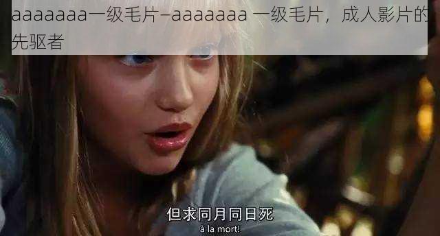 aaaaaaa一级毛片—aaaaaaa 一级毛片，成人影片的先驱者