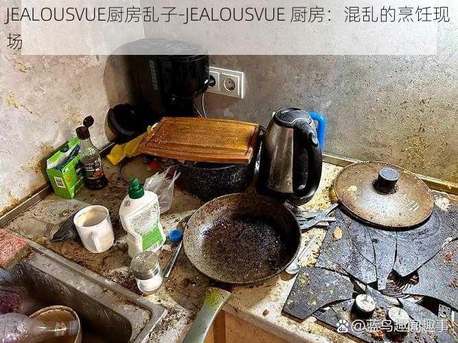 JEALOUSVUE厨房乱子-JEALOUSVUE 厨房：混乱的烹饪现场