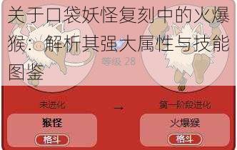 关于口袋妖怪复刻中的火爆猴：解析其强大属性与技能图鉴