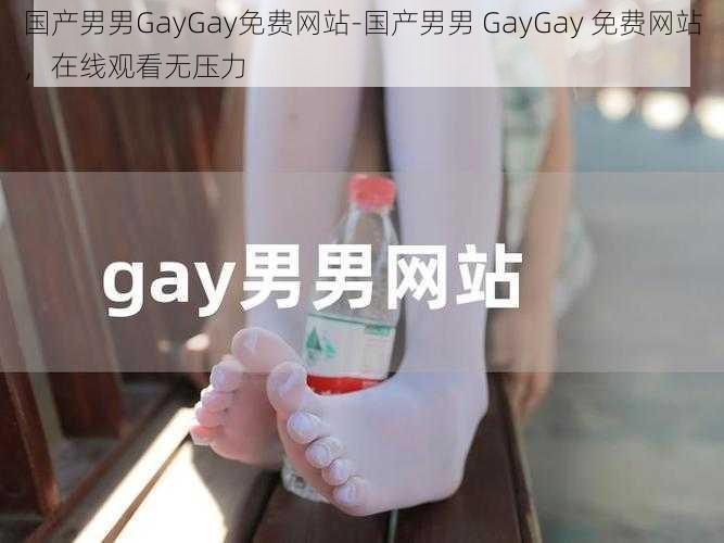 国产男男GayGay免费网站-国产男男 GayGay 免费网站，在线观看无压力