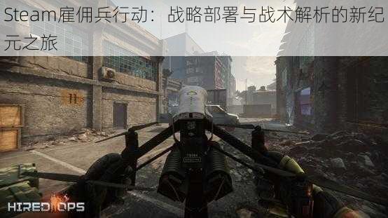 Steam雇佣兵行动：战略部署与战术解析的新纪元之旅