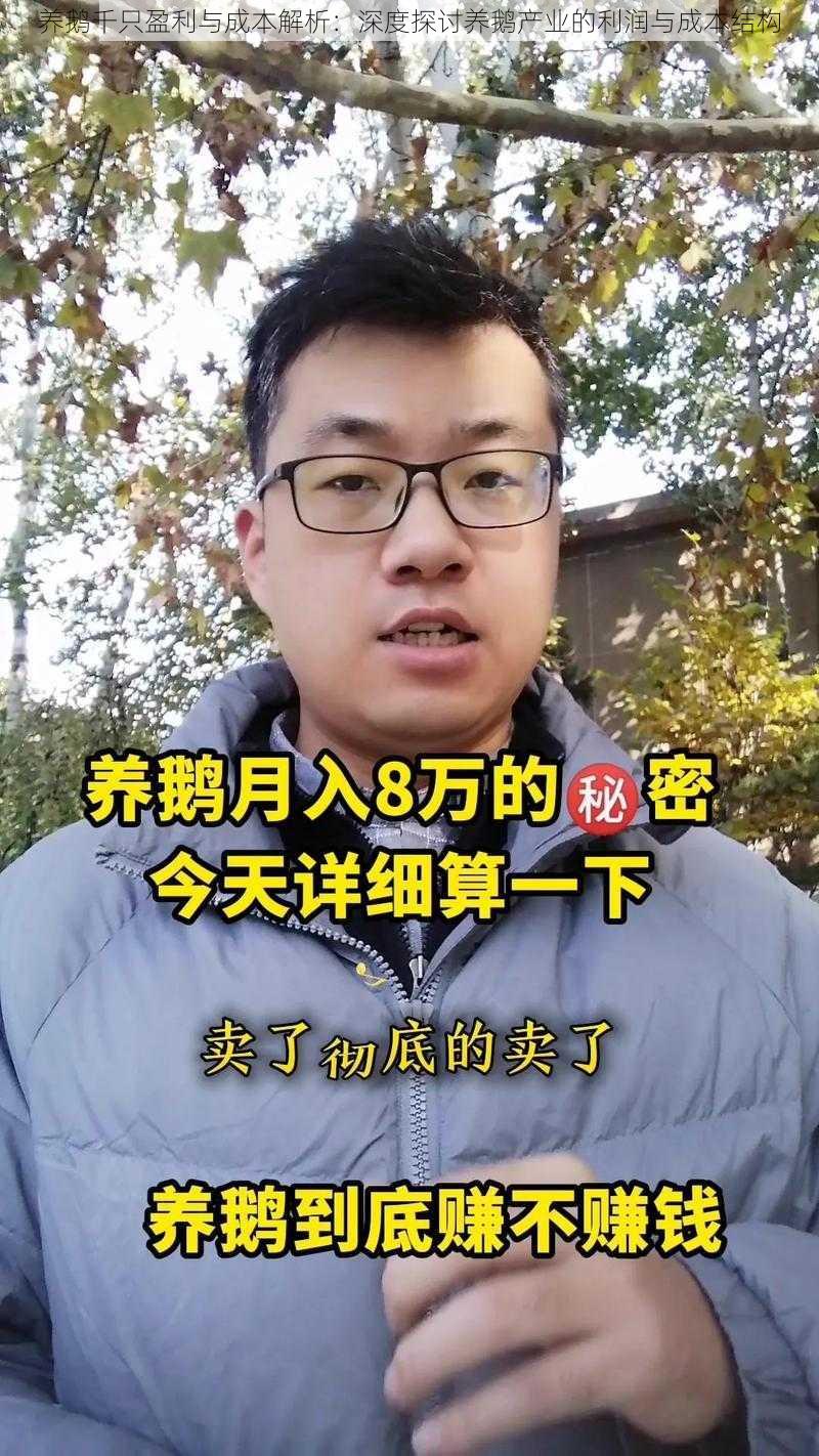 养鹅千只盈利与成本解析：深度探讨养鹅产业的利润与成本结构