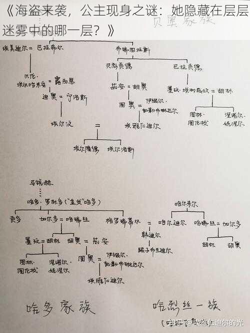 《海盗来袭，公主现身之谜：她隐藏在层层迷雾中的哪一层？》