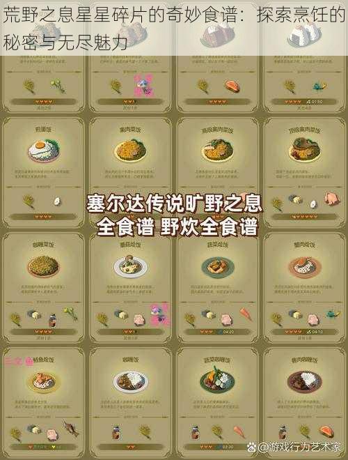 荒野之息星星碎片的奇妙食谱：探索烹饪的秘密与无尽魅力