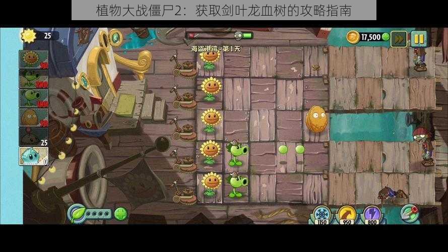 植物大战僵尸2：获取剑叶龙血树的攻略指南