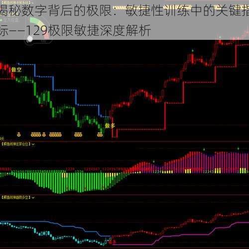 揭秘数字背后的极限：敏捷性训练中的关键指标——129极限敏捷深度解析