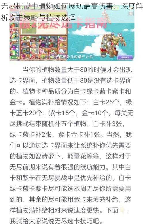 无尽挑战中植物如何展现最高伤害:深度解析攻击策略与植物选择