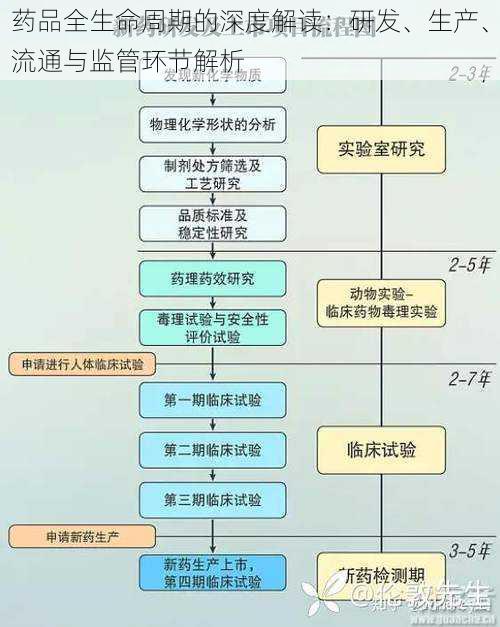 药品全生命周期的深度解读:研发、生产、流通与监管环节解析