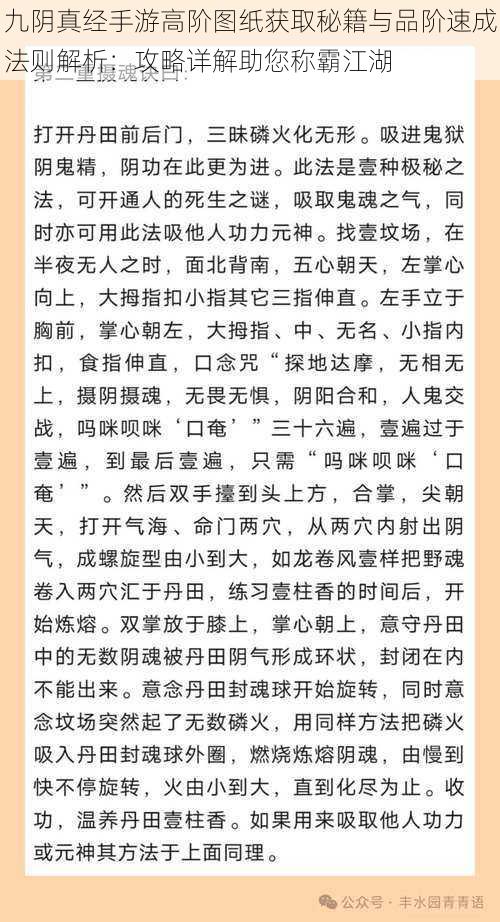 九阴真经手游高阶图纸获取秘籍与品阶速成法则解析：攻略详解助您称霸江湖