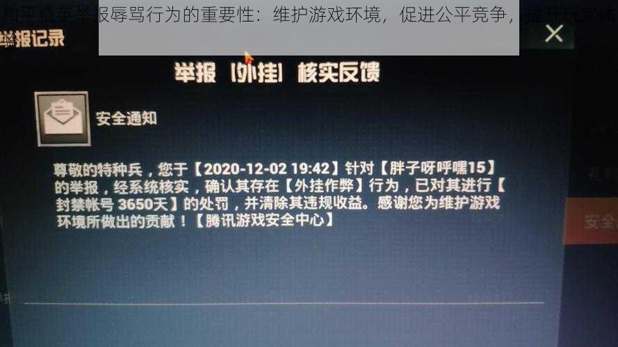 和平精英举报辱骂行为的重要性：维护游戏环境，促进公平竞争，提升玩家体验