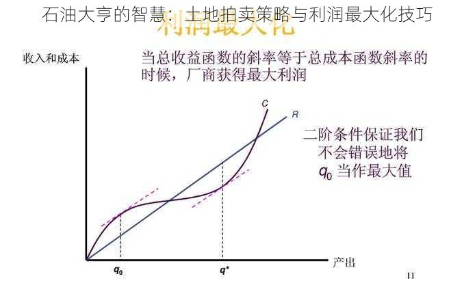 石油大亨的智慧：土地拍卖策略与利润最大化技巧