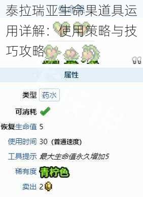 泰拉瑞亚生命果道具运用详解：使用策略与技巧攻略