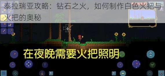 泰拉瑞亚攻略：钻石之火，如何制作白色火把与火把的奥秘