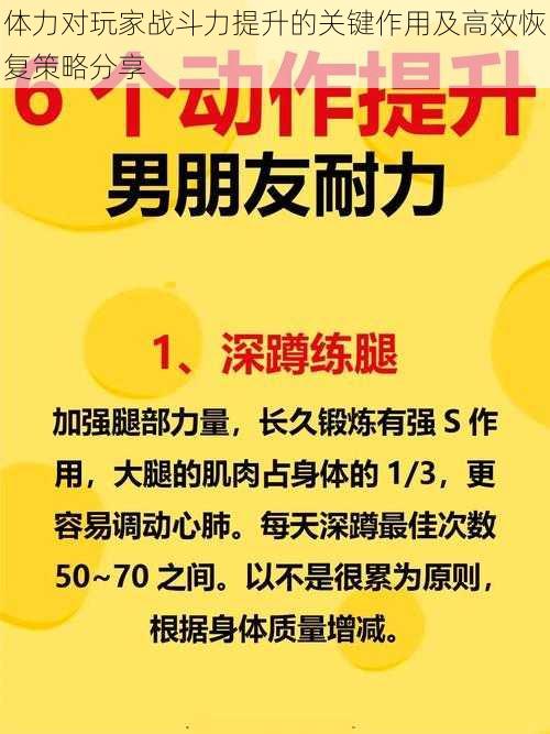 体力对玩家战斗力提升的关键作用及高效恢复策略分享