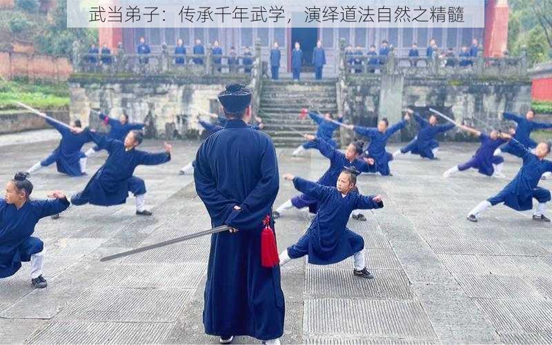 武当弟子：传承千年武学，演绎道法自然之精髓